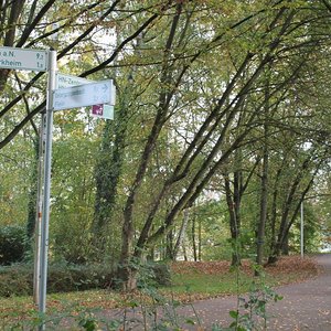 Radweg Sontheim (Okt. 2014, BK)