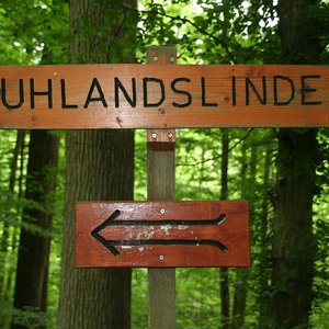 Wegweiser Uhlandlinde (2013, UM)