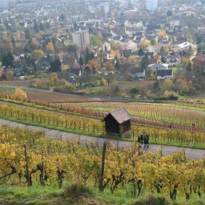 Blick vom Wartberg (Nov. 2013, UM)