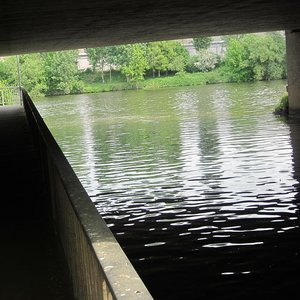 Neckar-Leinbach-Mündung (2011, RSch)