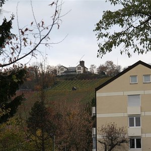 Blick zum Wartberg (Nov. 2013, UM)