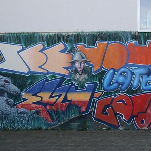 "Ellygator" (Mai 2016, FL)