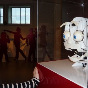Mimik-Roboter (2013, KB)