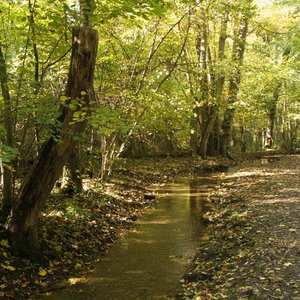 Naturschutzgebiet Köpfertal (2013, UM)