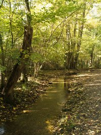 Naturschutzgebiet Köpfertal (2013, UM)