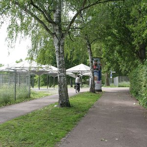 Uferweg Wertwiesenpark (Mai 2014, VN)