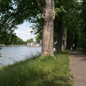 Fuß- und Fahrradweg Kanalhafen (Mai 2014, VN)