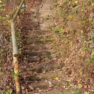 Waldweg mit Treppen (Nov. 2013, UM)