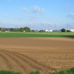 Buchbaum und Böllinger Höfe (Mai 2014, FL)